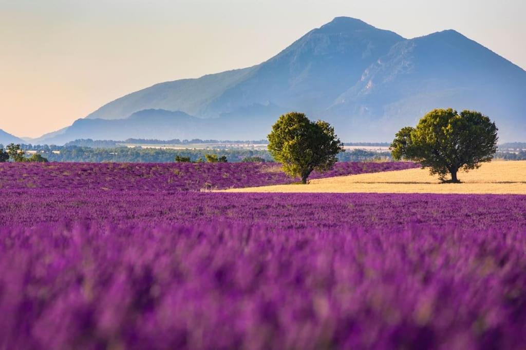 Joli T2 Jardin, Entre Mer/Verdon Salernes Zewnętrze zdjęcie